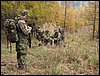 IMG_2380.jpg