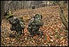 IMG_2417.jpg