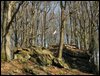 IMG_6557.jpg