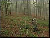 IMG_2748.jpg