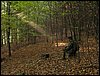 IMG_2755.jpg
