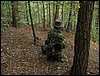 IMG_2756.jpg