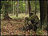 IMG_2773.jpg