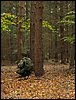 IMG_2777.jpg