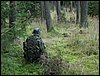 IMG_2778.jpg