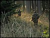 IMG_2782.jpg