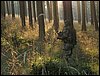 IMG_2786.jpg