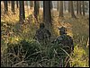 IMG_2788.jpg