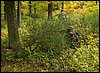 IMG_2287.jpg