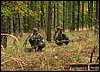 IMG_2294.jpg