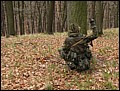 IMG_3856a.jpg