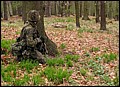 IMG_3861a.jpg