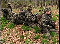 IMG_3866a.jpg