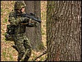 IMG_3878a.jpg