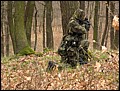 IMG_3884a.jpg