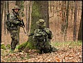 IMG_3885a.jpg