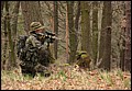 IMG_3893a.jpg