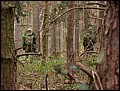 IMG_3900a.jpg