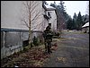 DSC08320.jpg