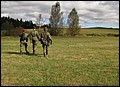IMG_3024a.jpg