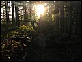 IMG_3058a.jpg