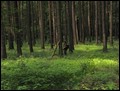 IMG_4797a.jpg
