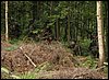 IMG_1828.jpg