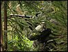 IMG_1830.jpg