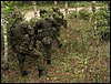 IMG_1844.jpg