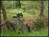 IMG_1850.jpg