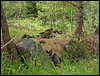 IMG_1852.jpg