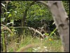IMG_1860.jpg