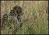 IMG_1865.jpg