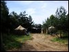 DSC00585.jpg