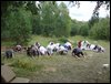 DSC00632.jpg