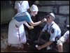 DSC00833.jpg