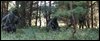 DSCF4766.JPG