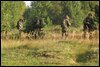 DSCF47764.jpg