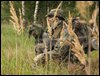 DSCF47765.jpg