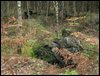 DSCF47767.jpg