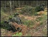 DSCF47768.jpg