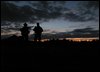 DSCF47771.jpg