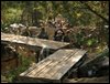DSCF49951.jpg