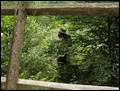 IMG_5149a.jpg