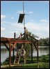 tnIMG_0559.jpg