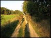 IMG_0613.jpg