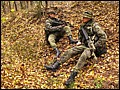 IMG_3125a.jpg
