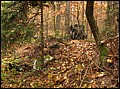 IMG_3129a.jpg