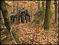 IMG_3137a.jpg