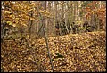 IMG_3140a.jpg